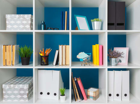 Organization